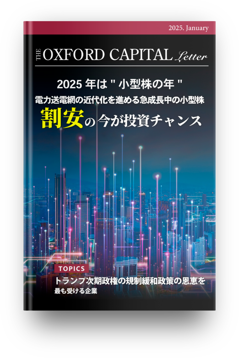 キャピタル・レター2025年1月号